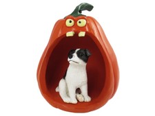 Jack Russell Terrier Black &