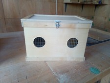 Single rabbit guinea pig show - single,