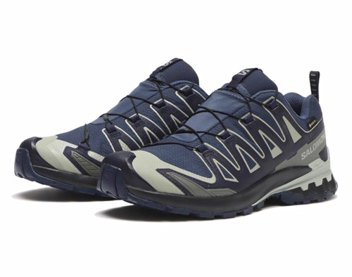 Salomon pro v9 gtx - salomon,