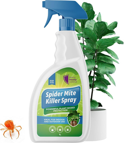 Spider mite killer spray for - mite,