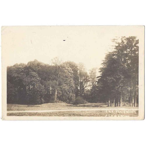 Clavering the plantation - the,