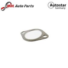 Exhaust Manifold Gasket