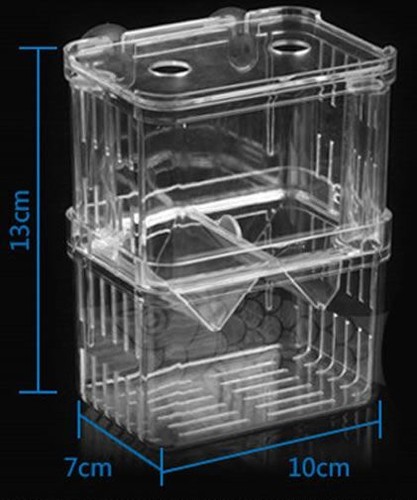 Aquarium fish breeding box - aquarium,