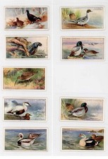 John Player Game Birds Wild