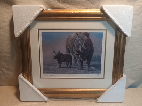 Stephen gayford beauty - gayford, the