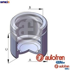PISTON BRAKE CALIPER D025107