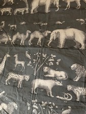 Andrew Martin -Passport - 100%