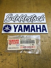 1 screw yamaha 91317-03008