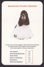 American Cocker Spaniel Dog art work by Polly Horner.single Swap Playing Card