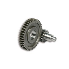 Malossi HTQ Z15/42 ITALJET 50
