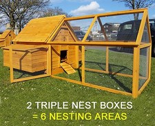 Large chicken coop run - chicken,