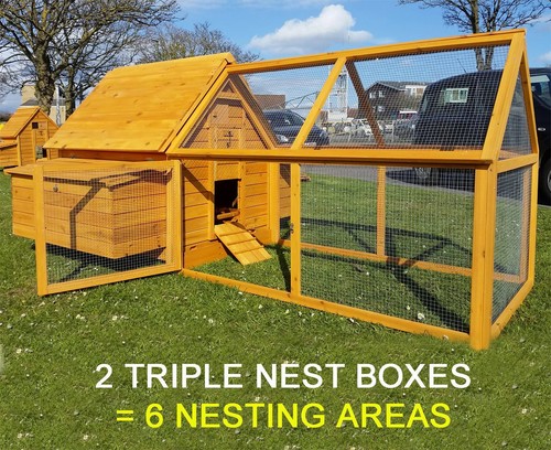 Large chicken coop run - chicken, hen