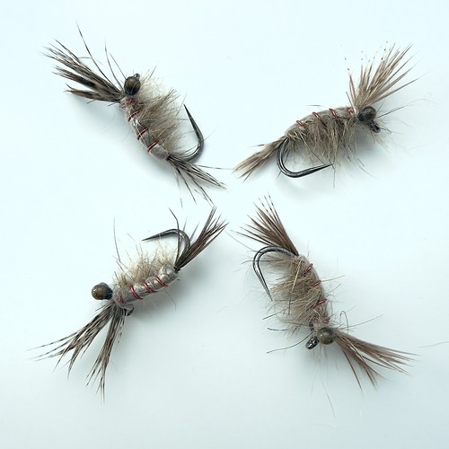 Gammarus scud shrimp nymph - scud,