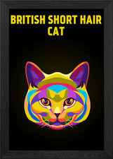 British Short hair cat Framed