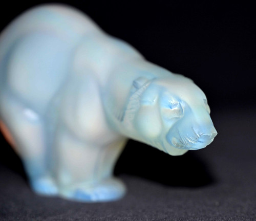 Sabino opalescent polar bear - opalescent,