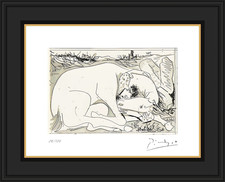 Picasso, Suenos y Mentiras de