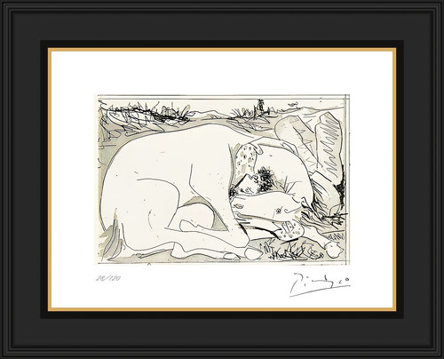 Picasso suenos mentiras de - y,
