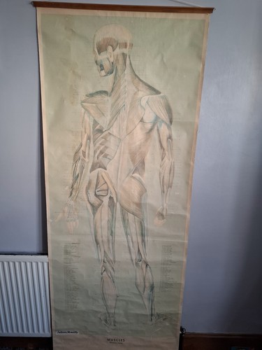 Vintage adam rouilly - adam,