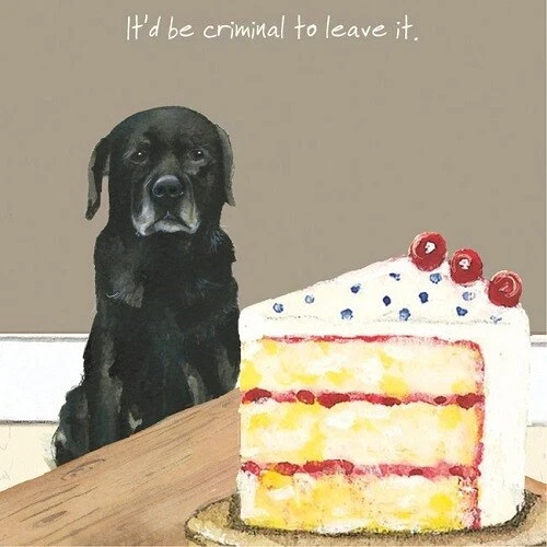 Black labrador cake - labrador,