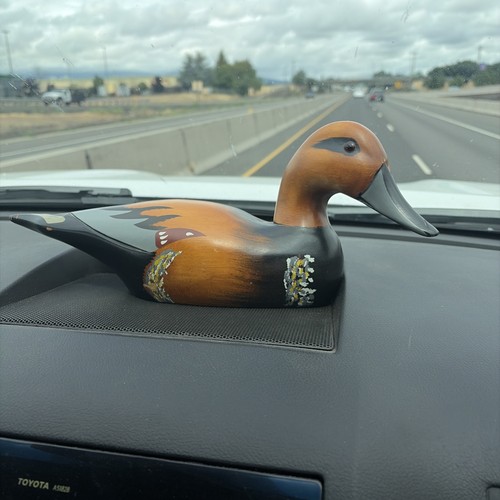 Hand painted cinnamon - cinnamon,, teal