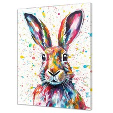 Colourful Rabbit Hare Animal