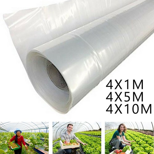 Vegetables greenhouse film - vegetables,