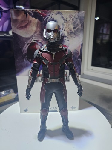 Hot toys mms362 ant man - hot,