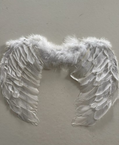 White feather angel wings - feather,