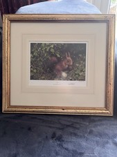 David Shepherd Limited Edition