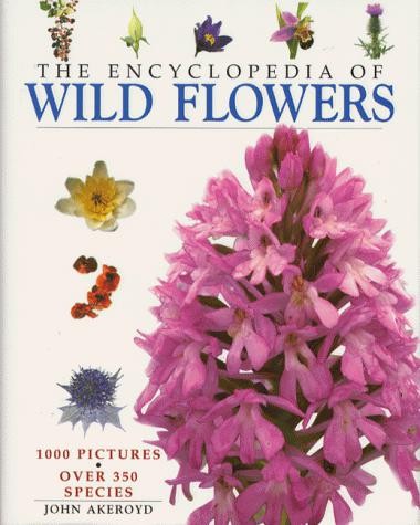 Wild flowers - wild,