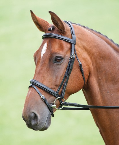 Shires salisbury bodenham - shires,