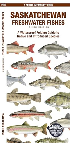 Saskatchewan fishes folding - saskatchewan, a