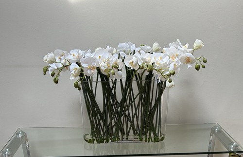 Extra large faux plant - large,