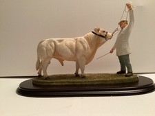 CHAROLAIS BULL " BEST OF SHOW