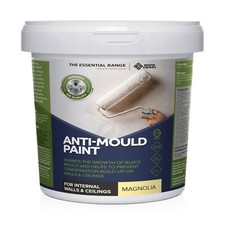 Anti mould paint - paint, protects