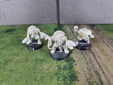 Space Ork Freebooter Renegade