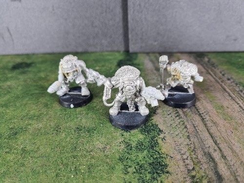 Space ork freebooter - space,