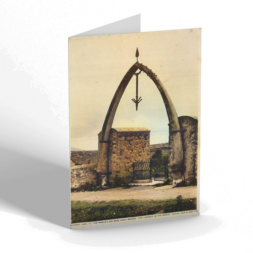 Greeting card vintage - greeting,