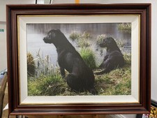 Steven Townsend - Watching &