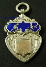 Solid sterling silver enamel - solid,
