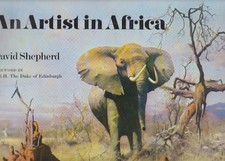An Artist in Africa - David