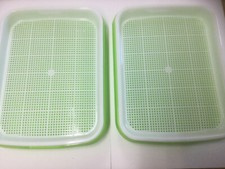 Three Microgreen Seed Growing