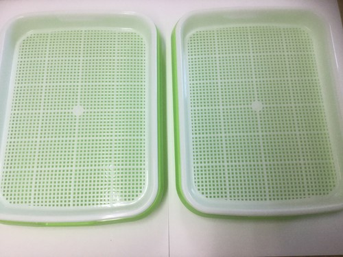 Three microgreen seed growing - seed,
