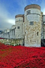 Tower of London Poppy Blood Swept Lands Seas Of Red Poppies Photograph Picture