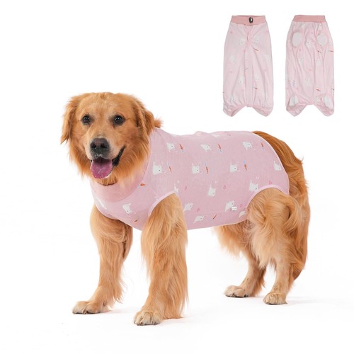 Doggiekit dog surgery recovery - doggiekit,