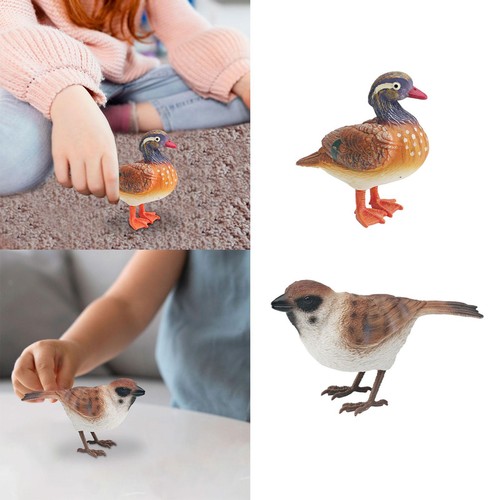 Realistic bird figure - realistic,