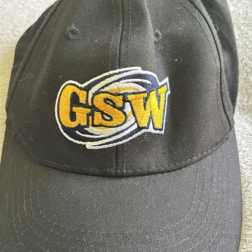 Georgia southwestern state - georgia,