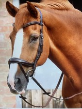 Premier Equine Savuto Anatomic Flash Bridle with Crank Noseband in Black, COB 