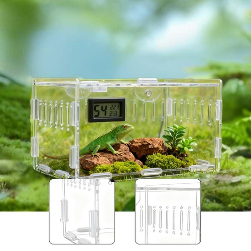 Acrylic spider enclosure - acrylic,