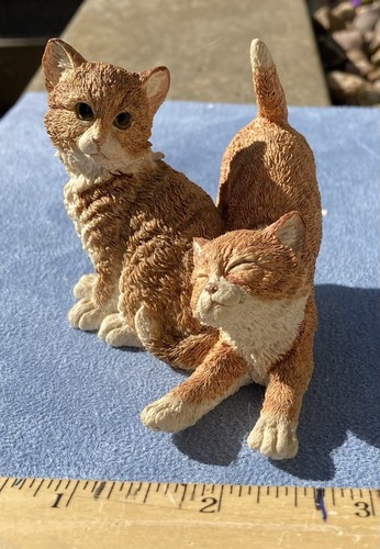 Country artists kittens - artists,